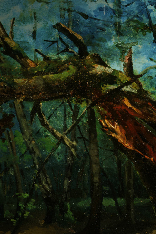 Couverture pour Mes Forêts